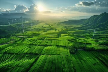 Wall Mural - breathtaking view of lush green terraced fields with wind turbines at sunset