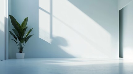 Minimalist Light:  A serene and minimalist interior design concept with soft, natural light streaming through a window, casting long shadows on a white wall. 