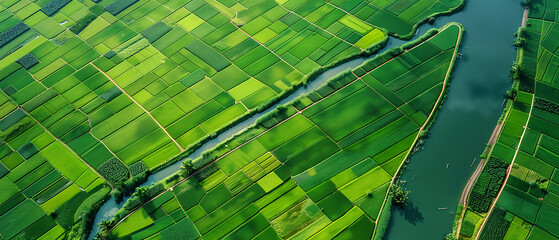 Canvas Print - green field