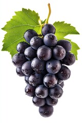 Poster - Black grapes with green leaves