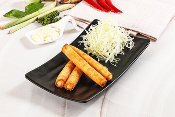 Canvas Print - Fried spring roll with prawn