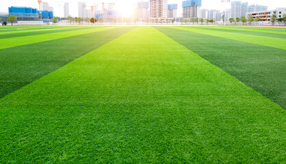 Canvas Print - Green grass of the soccer field