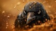© Viktor - A tight shot of a grubby black bird, its face speckled with dirt, backdrop softly blurred