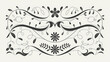 © Daffodil - wavy border doodle elements black and white illustration, calligraphic design elements and page decoration