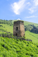 Wall Mural - A medieval stone tower on a hill with green grass is surrounded by a wooden fence. The snow capped peak of Mount Tetnuldi is in the background.