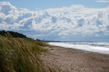 Wall Mural - Stormy Baltic sea, Pape, Latvia.