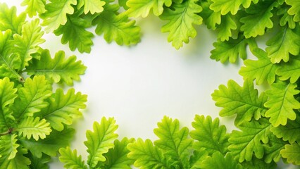 Wall Mural - Fresh green oak leaves border on light background, nature theme, oak, leaves, border, green, fresh, light, background, nature, tree