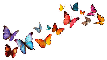 set of butterflies isolated on white or transparent png