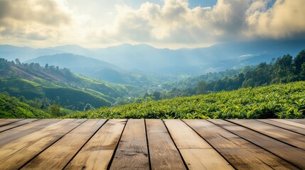 Wall Mural - sunrise over rolling tea plantations in a mountainous landscape
