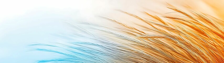 Wall Mural - gradient of yellow and blue tones, evoking warmth and serenity, copy space for text,