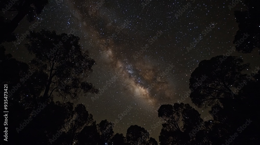 12082007 98 A starry night sky, with the Milky Way visible in all its ...