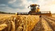 © 9DIGITECH - At sunset, a farmer with a tractor is driving through a field of wheat.
