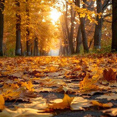 Wall Mural - autumn leaves pathway symbolizing change and new beginnings in nature
