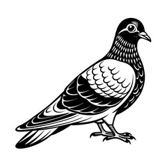 pigeon vector art silhouette