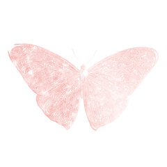 Canvas Print - Holographic Butterfly png sticker, transparent background