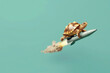 © IBEX.Media - Turtle riding rocket, surreal speed concept
