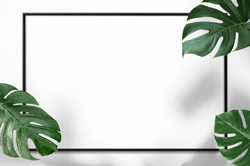 Canvas Print - Black rectangle Monstera leaves frame on white background