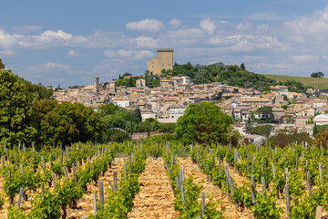 Poster - Typical vineyard with stones near Chateauneuf-du-Pape, Cotes du Rhone, France