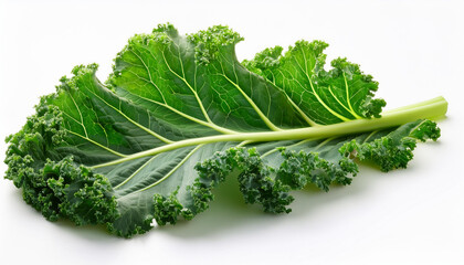 green kale leaf isolated on white