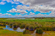 © Ilhan Balta - Lagoa dos Salgados in Guia-Albufeira/Algarve (Portugal)