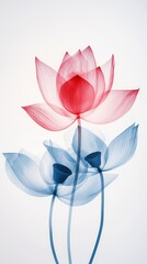 Sticker - Delicate lotus flowers