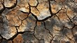© Yeivaz - The cracked and dry soil texture is a clear reflection of the severe drought conditions present