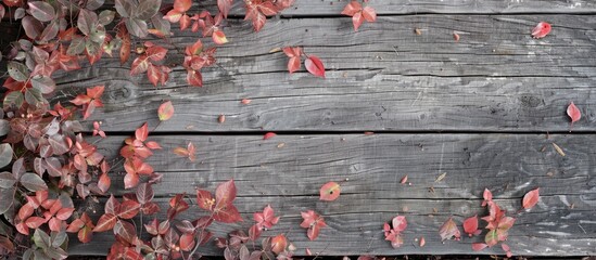 Sticker - Autumn foliage on a weathered wooden surface. Copy space image. Place for adding text and design