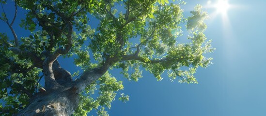 Sticker - A lovely tree and a clear sky. Copy space image. Place for adding text and design