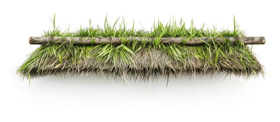 Wall Mural - The old grass roof on a white background. Copy space image. Place for adding text and design