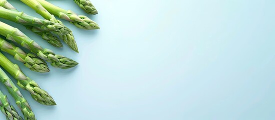 Wall Mural - Fresh raw asparagus against a light blue background. Copy space image. Place for adding text and design