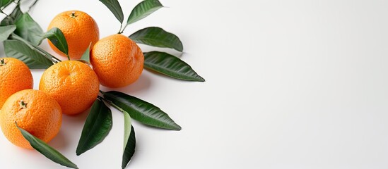 Poster - Fresh mandarin oranges against a white background. Copy space image. Place for adding text and design