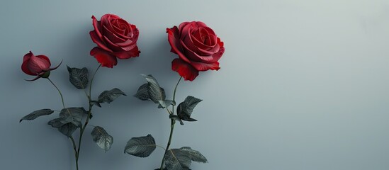 Sticker - Three red roses set against a gray background Copy space