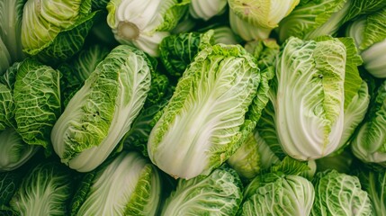 Canvas Print - Close-up of fresh green cabbages packed tightly together, emphasizing the texture and leafy patterns of the vegetables.