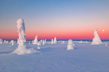 Sticker - landscape with snow