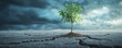 © Rattanathip - A small green tree grows on cracked dry soil, symbolizing hope and resilience in a barren environment under a dark, stormy sky.