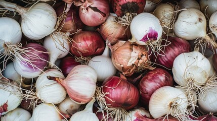 Poster - A vibrant assortment of red and white onions captured from a top view. Their natural textures and colors create a visually appealing and rustic composition.