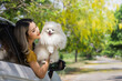 © kamonrat - Woman Enjoying a Sunny Drive with Her Fluffy Pomeranian, Embracing Nature