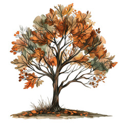 A beautiful autumn tree showcasing vibrant orange and yellow leaves, perfect for seasonal decor and nature-themed projects.