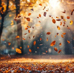 Poster - The sun shines on a beautiful autumn landscape with yellow trees.