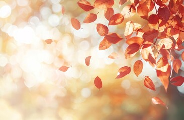 Fototapete - It's a beautiful landscape. The leaves are changing color in the park. It's a natural background with falling leaves.