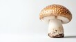 © jirayut - Close-up of a Fresh Mushroom Against White Background