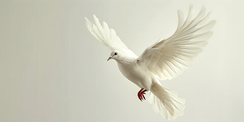 White Dove Soaring Through Copy Space, A Symbol of Peace and Hope