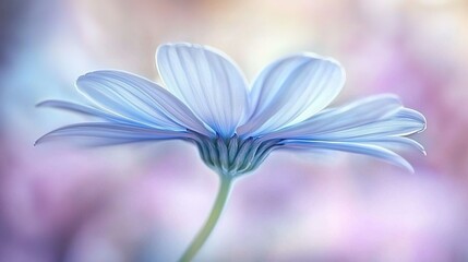 Poster -   A sharp focus on a blue blossom amidst a hazy backdrop featuring a collection of out-of-focus blooms