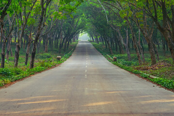 Roads scene in the background of trees and nature. Summer travel in the countryside 