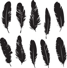 Wall Mural - Feathers set black silhouettes