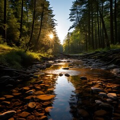 Canvas Print - a river with rocks and trees in the background. 