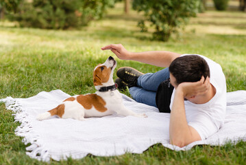 Sticker - Cute Jack Russell Terrier puppy relaxing and playing on lawn outdoor on a sunny day with his owner dressed in casual clothes. Modern lifestyle and happy pets life