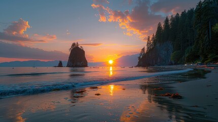 Wall Mural - Serene Beachscape in Olympic National Park, Washington, USA