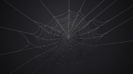 Poster - spider web with dew drops