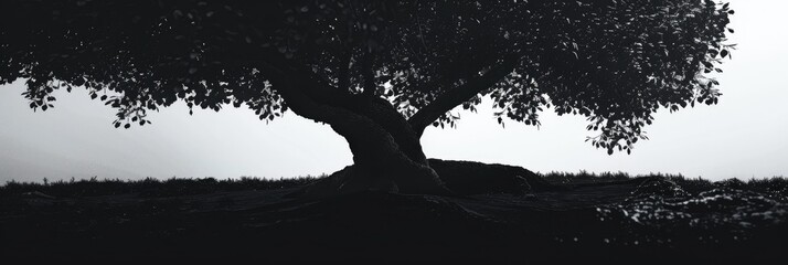 Wall Mural - Tree silhouette